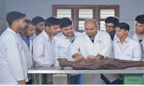 Nepalgunj Medical College Practical Session