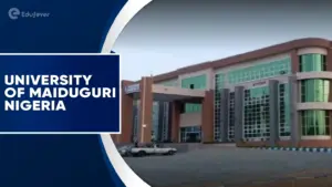 University of Maiduguri Nigeria