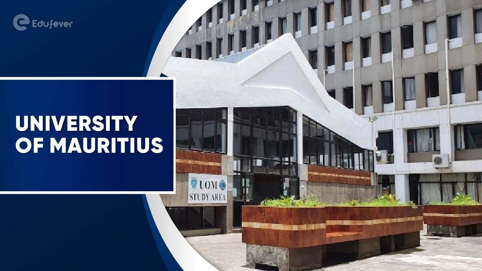 University of Mauritius