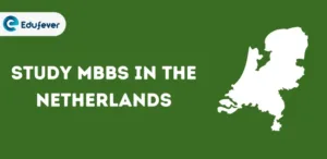 MBBS in Netherlands