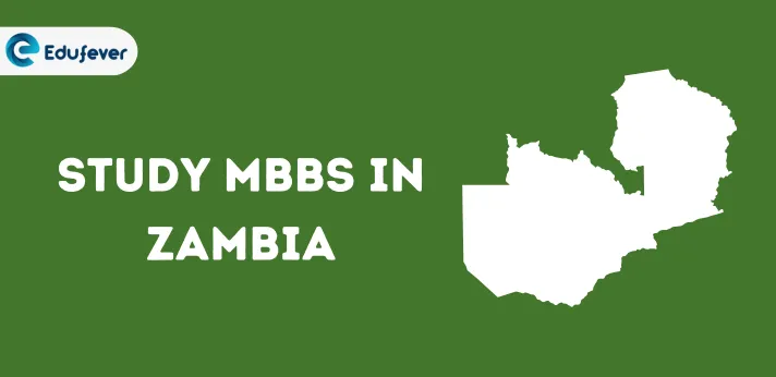 MBBS in Zambia