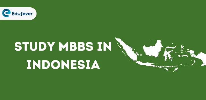 mbbs in Indonesia