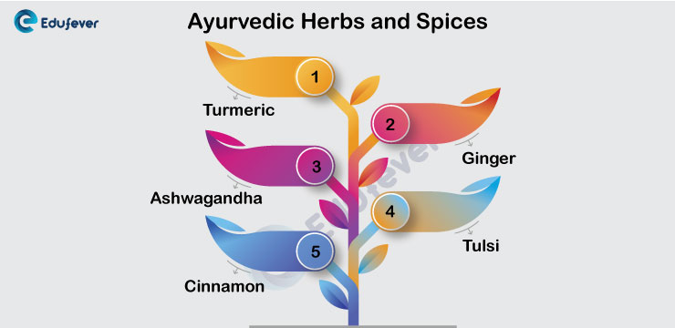 Ayurvedic-Herbs-and-Spices