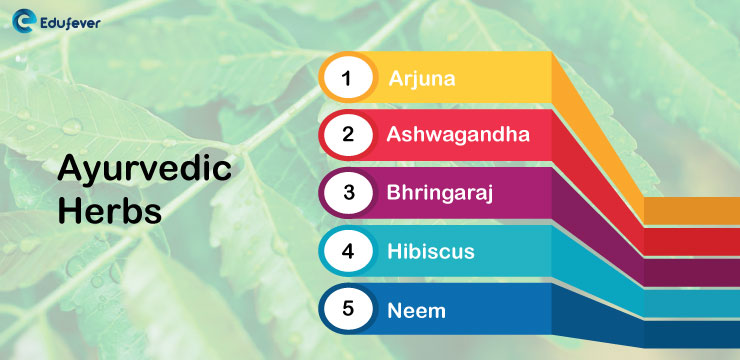 Ayurvedic-Herbs