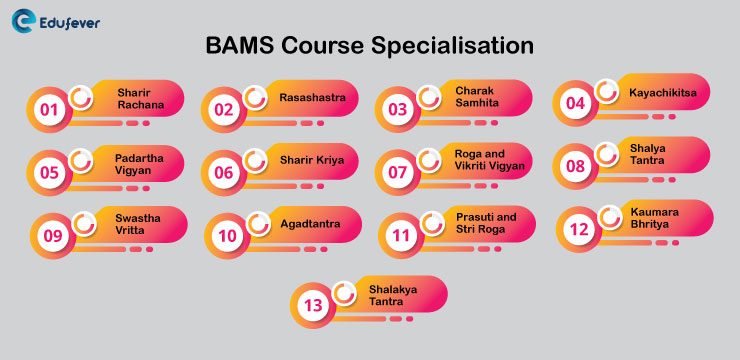 BAMS-Course-Specialisation