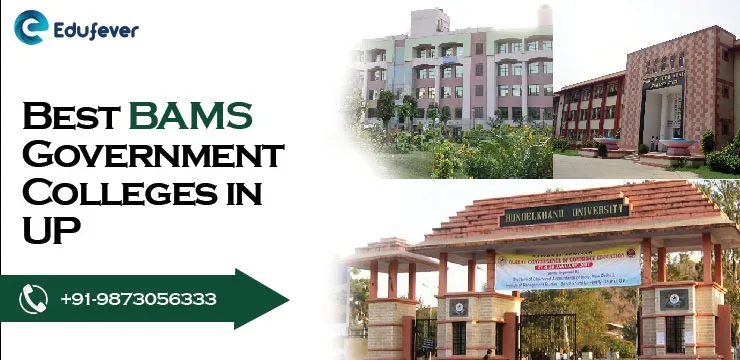 Best BAMS Government Colleges in UP