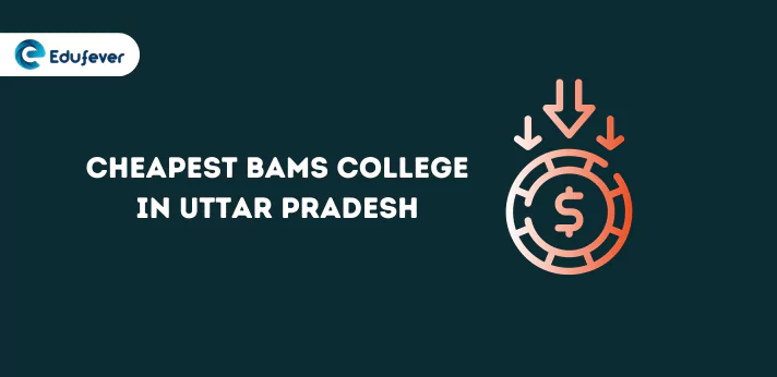 Cheapest BAMS College in UP