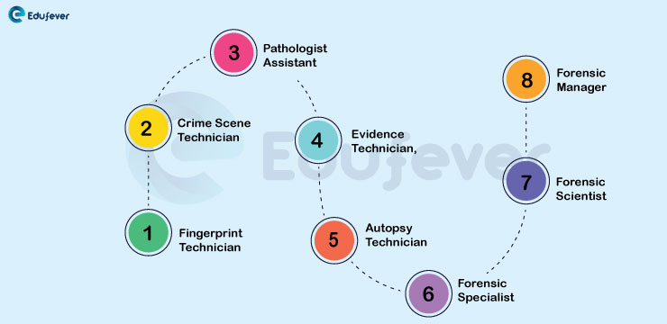 Forensic-Science-Jobs