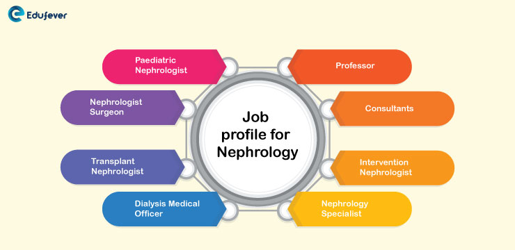Job-Profile-for-Nephrology