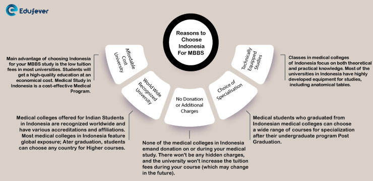 Reasons-to-Choose-Indonesia-For-MBBS