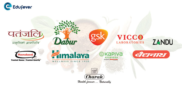 Top 10 Ayurvedic Companies in India