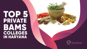 Top 5 Private BAMS Colleges in Haryana