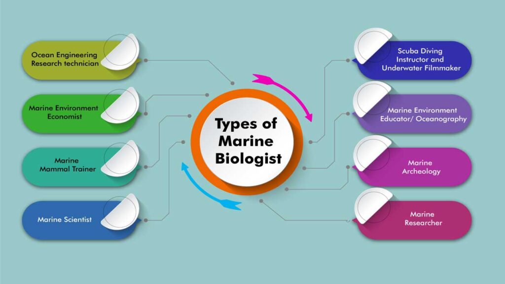 Types-of-Marine-Biologist