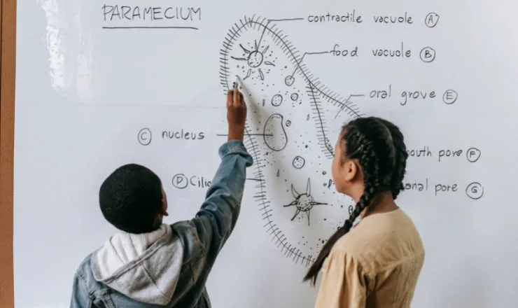 Biology Paramecium