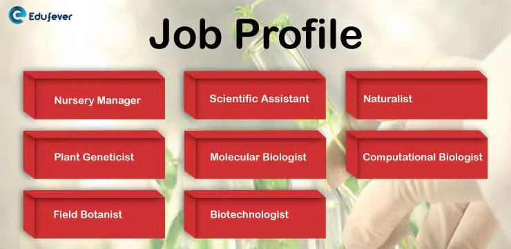 Job-Profile-for-Botany-Courses