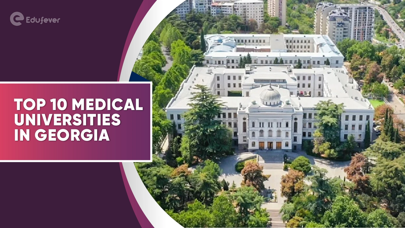 Top 10 Medical Universities in Georgia