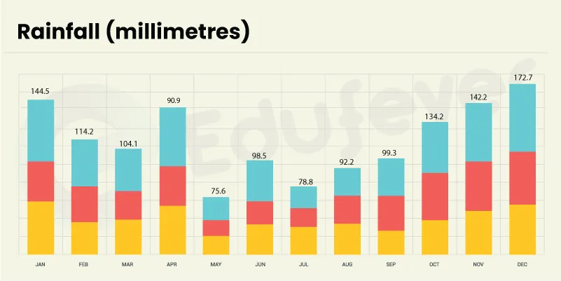 Tbilisi City Rainfall