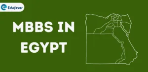 MBBS in EGYPT