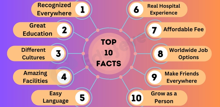 Graphical Representation of Top 10 Facts
