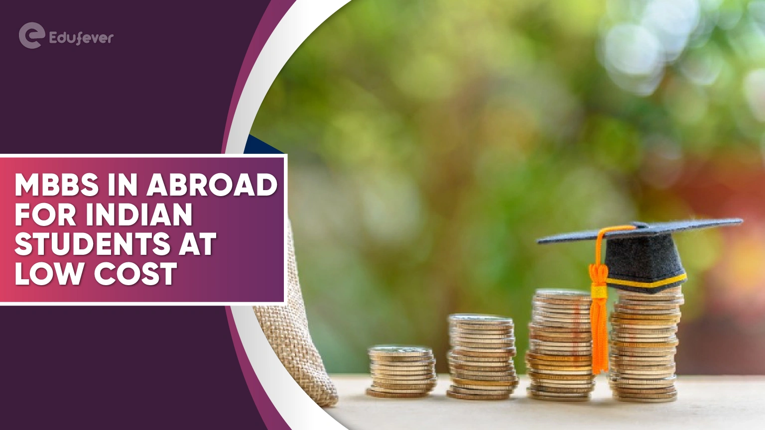 MBBS in Abroad for Indian Students at Low Cost