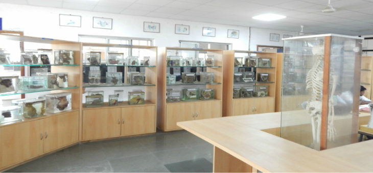 MGM Medical College Nerul Museum
