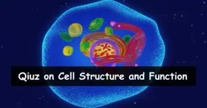 cell structure and function