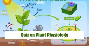 NEET Biology Question Set 4: Plant Physiology for Exam