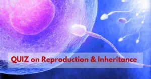 NEET UG Biology Question Set 8: Quiz on Reproduction and Inheritance