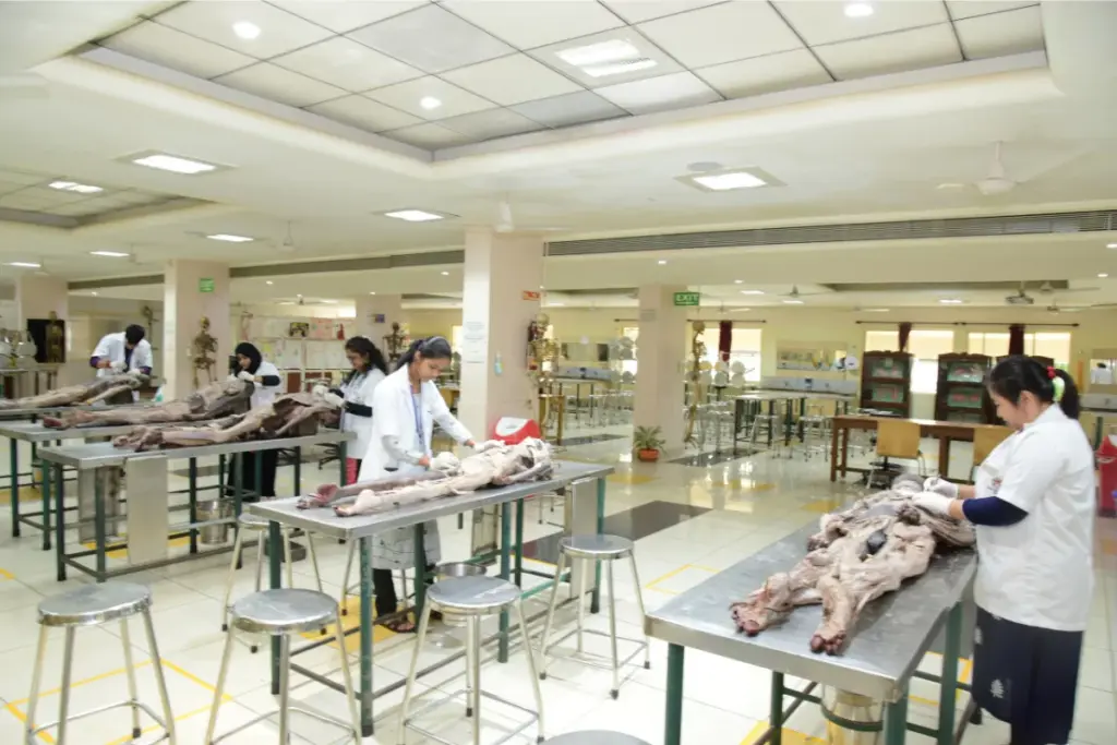KMC Manipal Lab Tour Anatomy Lab Dissection Hall