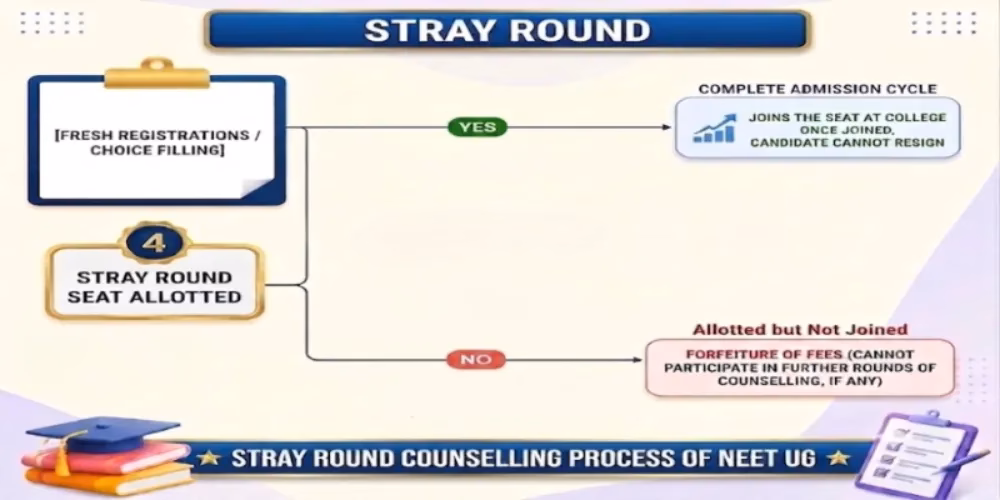 Stray Round