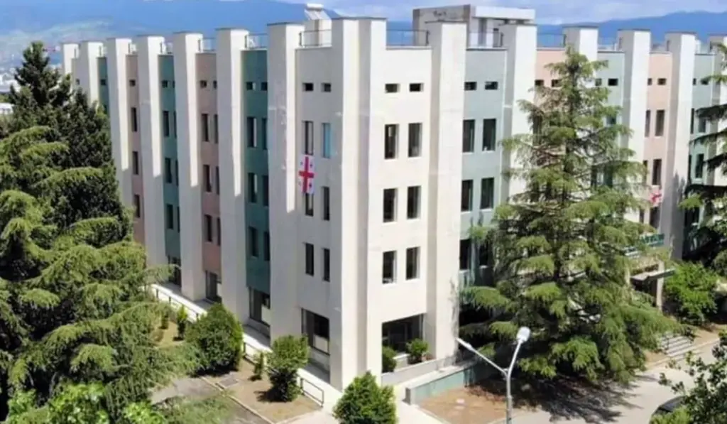 New Vision University (NVU)