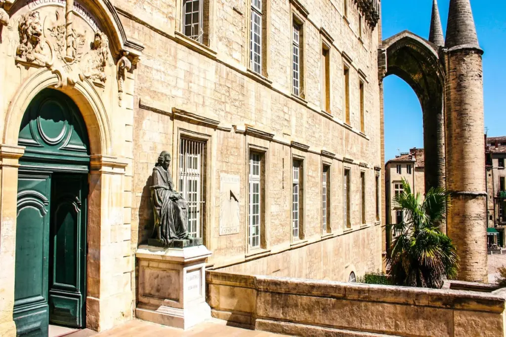 University of Montpellier-Faculty of Medicine, France