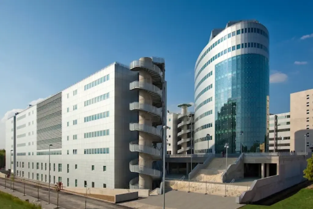 University of Perugia-Faculty of Medicine, Italy