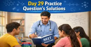 Day 29 Practice Question's Solutions