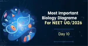 Most Important Biology Diagram For NEET UG 2026 (Day 10)
