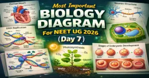 Most Important Biology Diagram For NEET UG 2026 day7