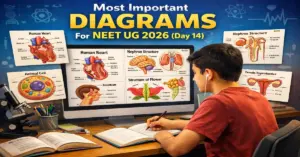 Most Important Diagrams For NEET UG 2026 (Day 14)