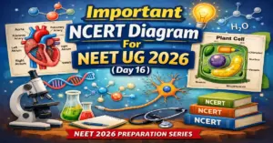 Important NCERT Diagram For NEET UG 2026 (Day 16)